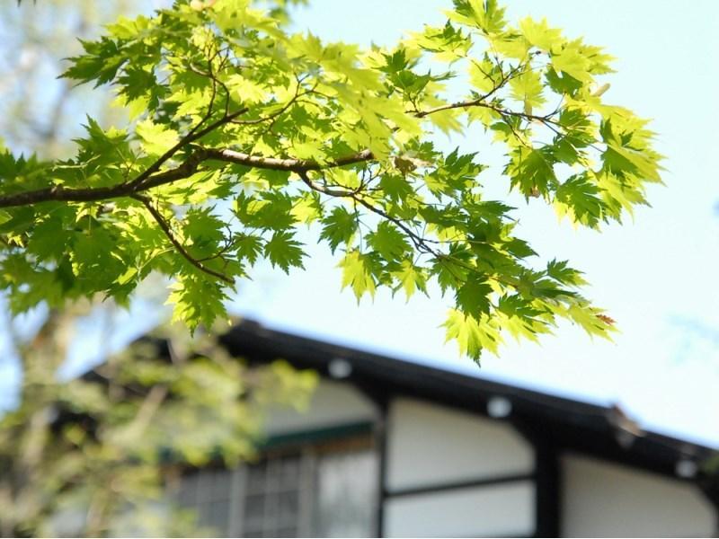 Mampei Hotel Karuizawa Exteriér fotografie